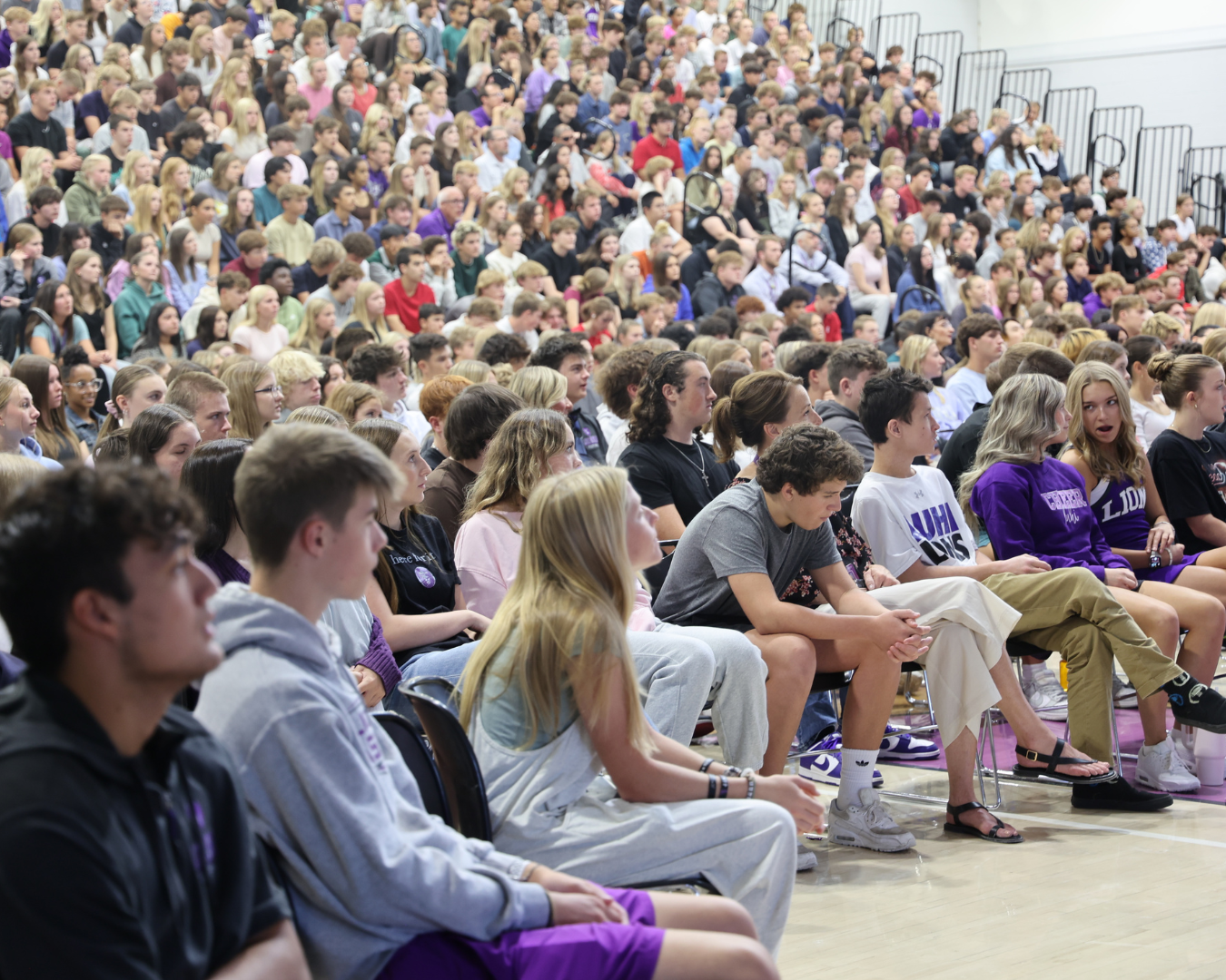 Meet the 2024 New LuHi Teachers